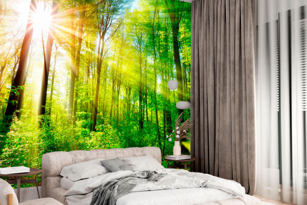 Фотошпалери Ранок у листяному лісі