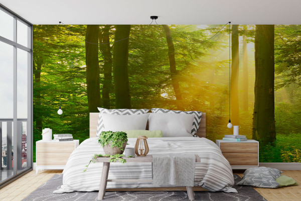 Фотошпалери Сонце в лісовій гущавині
