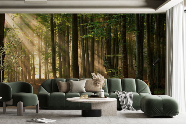 Фотошпалери Сосновий ліс у променях сонця