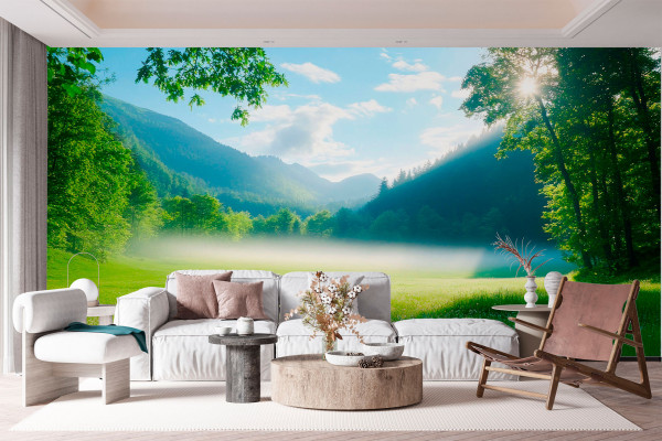 Фотошпалери Залитий сонцем луг, що переходить у далекий ліс