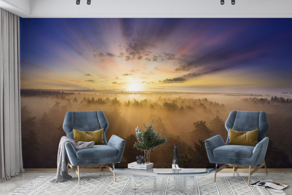 Фотошпалери Яскравий кольоровий світанок над літнім туманним лісом