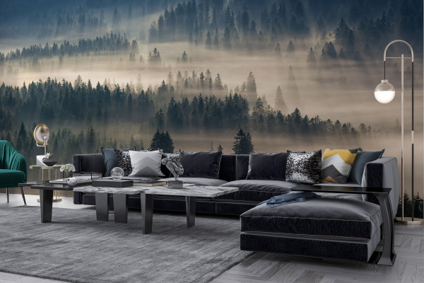 Фотошпалери Сосновий ліс у ранковому серпанку