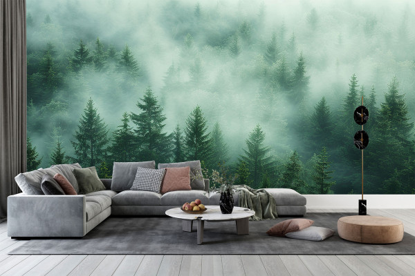 Фотошпалери Сосновий ліс у таємничому тумані ранку